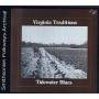 Tidewater Blues / Various - Tidewater Blues / Various