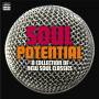 Various - Soul Potential