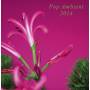 Various - Pop Ambient 2014