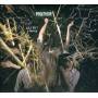 Panther - Secret Lawns