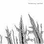 Bastard Wing - Crystal Thicket