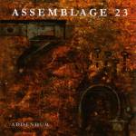 Assemblage 23 - Addendum