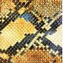 The Amazing Snakeheads - Amphetamine Ballads