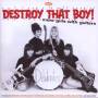Various - Destroy That Boy!-More Girls With Guitars