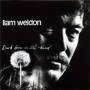Liam Weldon - Dark Horse On The Wind