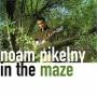 Noam Pikelny - In The Maze