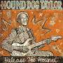 Hound Dog Taylor & The Houserockers W. Brewer Phil - Release the Hound