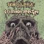 Crimson Spectre / Uwharria - Split