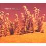 Marcia - In Bossa