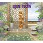 Various - Spa India / Various