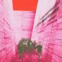Blonde Redhead - In An Expression Of The Inexpressib