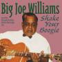 Big Joe Williams - Shake Your Boogie