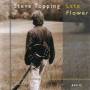 Steve Topping - Late Flower