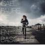 Gael Faure - De silences en bascules