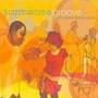 V / A - Summertime Groove / Various