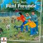 Fnf Freunde - 124/auf der Suche nach Timmy