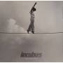Incubus - If Not Now When