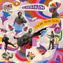 Decemberists - I'll Be Your Girl