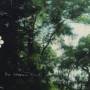 Our Sleepless Forest - Our Sleepless Forest