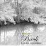 J. S. Bach - Basically Bach
