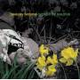 Hawksley Workman - Between The Beautifuls
