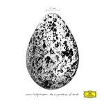 Snorri Hallgrimsson - The Importance of Birds