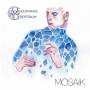 Wassermanns Fiebertraum - Mosaic
