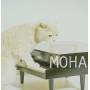 Moha - Vol. 1