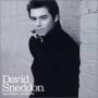 David Sneddon -Seven Years -Ten Weeks - Seven Years Ten Weeks