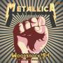 Metallica - Woodstock ?94