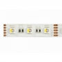 Synergy 21 Led - Flex Strip 60 RGB DC24V + RGB-W one chip ww