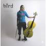 Bird - Girl And A Cello