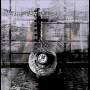Jaywalker - Illusion