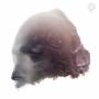 The Stargazers Assistant - Resurgam I,Resurgam II