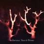 Sol Invictus - Trees In The Winter (Digipack)