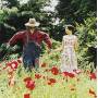 Radwimps - Yushinron