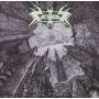 Vektor - Outer Isolation