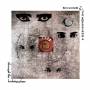 Siouxsie And The Banshees - Through The Looking Glass (Vinyl)