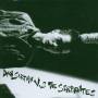 Dan Sartain - Dan Sartain Vs. The Serpientes
