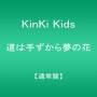 Kinki Kids - Michi Ha Tezukara Yume No Hana
