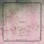Blank Square - Animal I