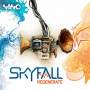 Skyfall - Regenerate