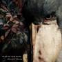 Let Me Play Your Guitar - Shoebill Garden