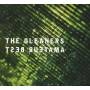 Amateur Best - The Gleaners