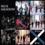 Blue Meadow - 39th & 8th