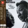 Muddy Waters - Real Folk Blues