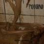 Pissgrave - Suicide Euphoria