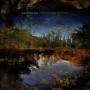Saariselka - The Ground Our Sky (Lt.Dark Blue Vinyl)