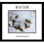 Collection DArnell-Andrea - Another Winter