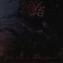 Rebel Souls - The forces of darkness